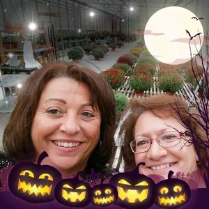 Meet your Posher, Cindy